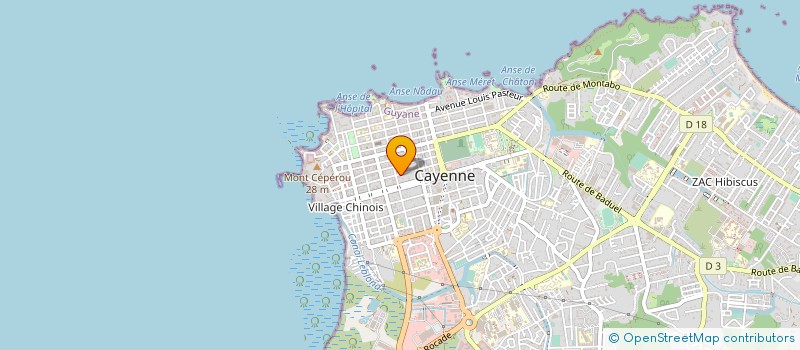 localisation de l'entreprise MADAME DOLENE DELBE à CAYENNE