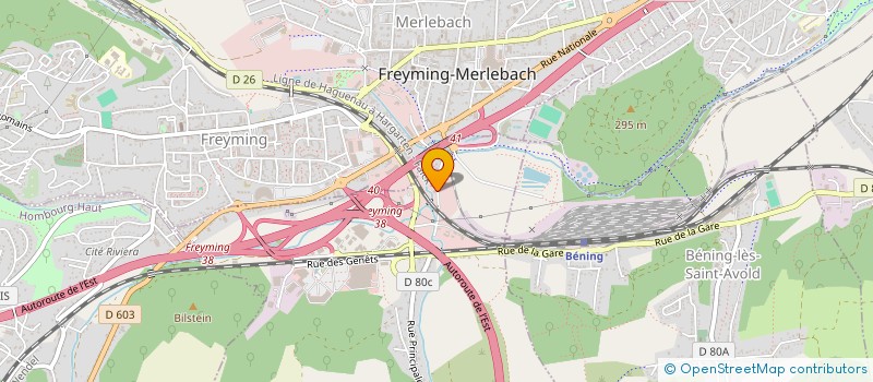 localisation de l'entreprise MADAME DOLORES FOERTSCH  BETTING