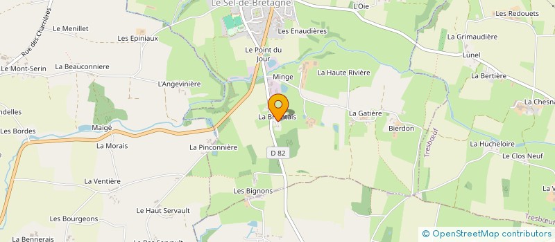 localisation de l'entreprise MADAME DOLORES LETOURNEUR  LE SEL-DE-BRETAGNE