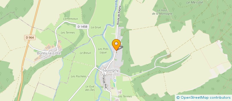 localisation de l'entreprise MADAME DOLORES ROYER à SAUVIGNY