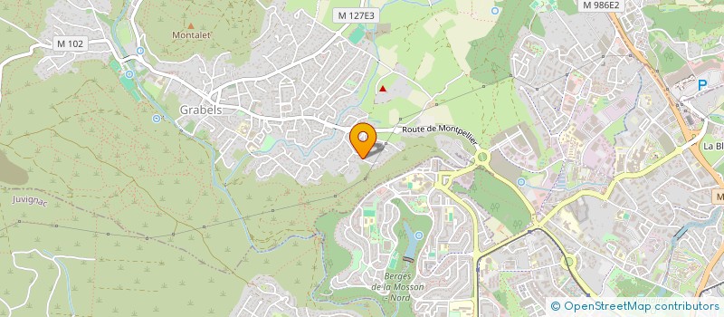 localisation de l'entreprise MADAME DOMINIKA RADZIULEWICZ  GRABELS