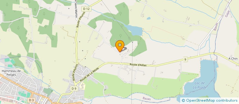 localisation de l'entreprise MADAME DOMINIQUE ARTUR  BIRAC