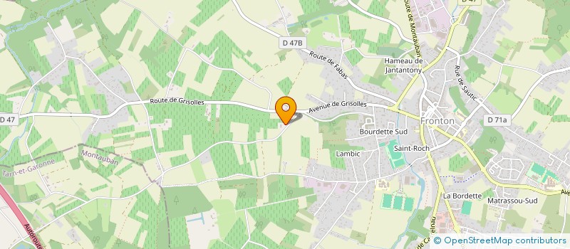 localisation de l'entreprise MADAME DOMINIQUE BAGIOLI  FRONTON