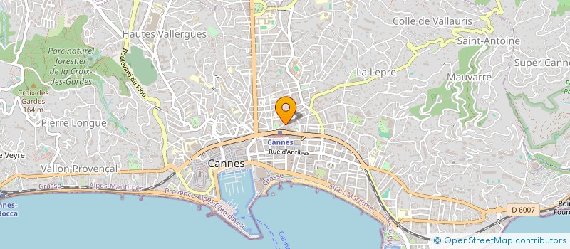 localisation de l'entreprise MADAME DOMINIQUE BERNARDI  CANNES