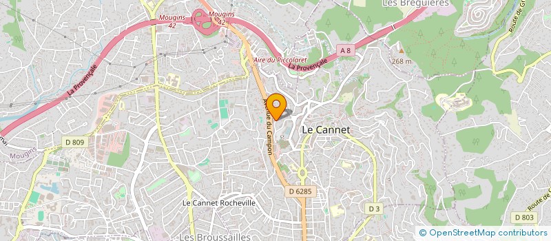 localisation de l'entreprise MADAME DOMINIQUE BIANCHERI à LE CANNET