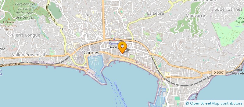 localisation de l'entreprise MADAME DOMINIQUE BOLORE à CANNES