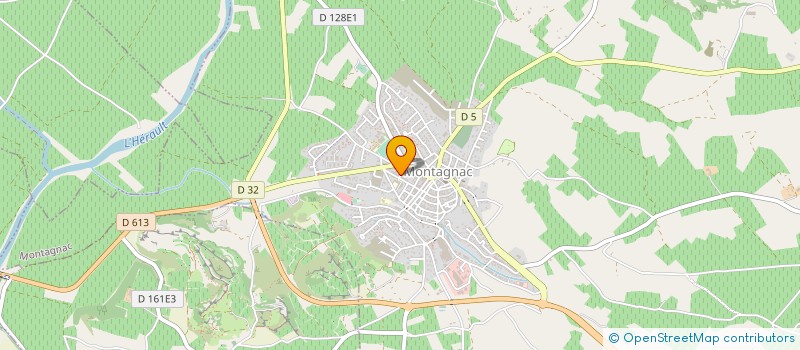 localisation de l'entreprise MADAME DOMINIQUE BOUCHARD à MONTAGNAC