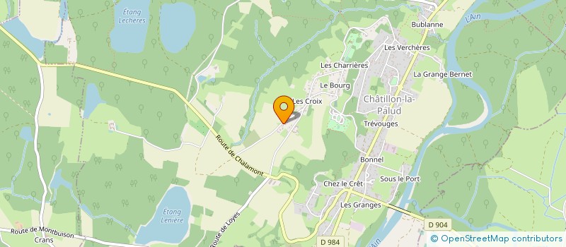 localisation de l'entreprise MADAME DOMINIQUE BRINGUIER à CHATILLON-LA-PALUD