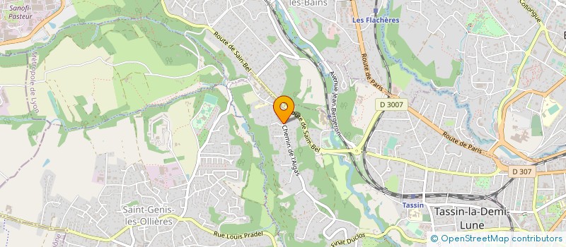 localisation de l'entreprise MADAME DOMINIQUE BROUGERE  TASSIN-LA-DEMI-LUNE