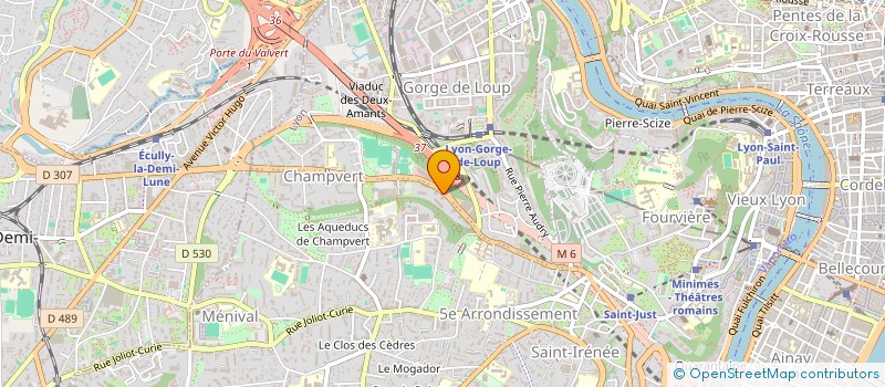 localisation de l'entreprise MADAME DOMINIQUE CARLE à LYON