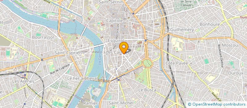 localisation de l'entreprise MADAME DOMINIQUE CHA à TOULOUSE