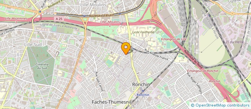 localisation de l'entreprise MADAME DOMINIQUE CHATELAIN à LILLE