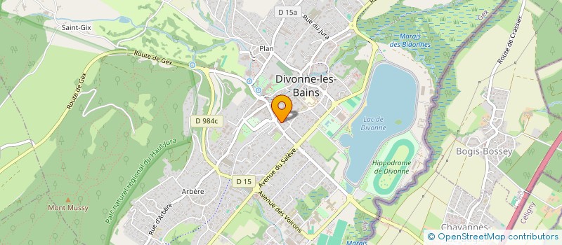 localisation de l'entreprise MADAME DOMINIQUE COPPOLAND  DIVONNE-LES-BAINS