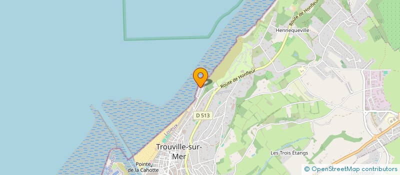 localisation de l'entreprise MADAME DOMINIQUE DAVID à TROUVILLE-SUR-MER