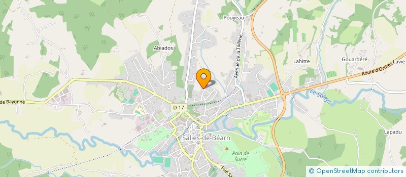 localisation de l'entreprise MADAME DOMINIQUE DE CACQUERAY VALMENIER à SALIES-DE-BEARN