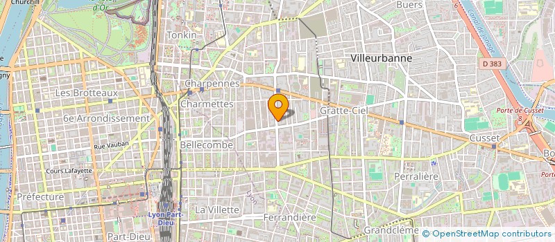 localisation de l'entreprise MADAME DOMINIQUE DEMACHY  VILLEURBANNE