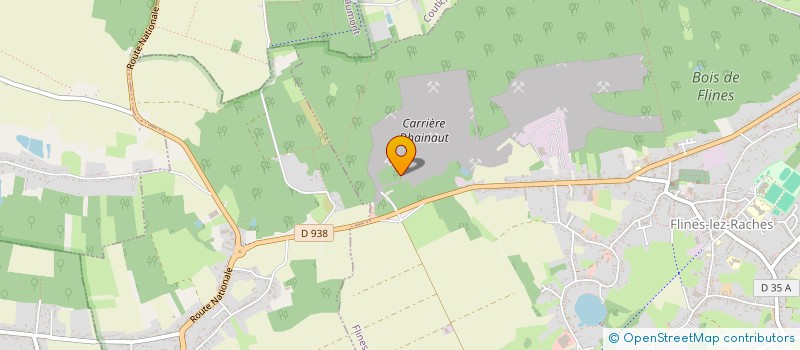 localisation de l'entreprise MADAME DOMINIQUE DESMAZIERES  FLINES-LEZ-RACHES