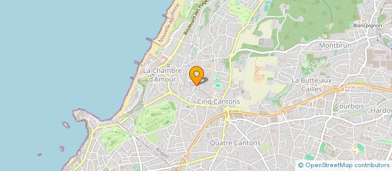 localisation de l'entreprise MADAME DOMINIQUE DIARTE  ANGLET