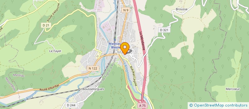 localisation de l'entreprise MADAME DOMINIQUE DYE à MASSIAC