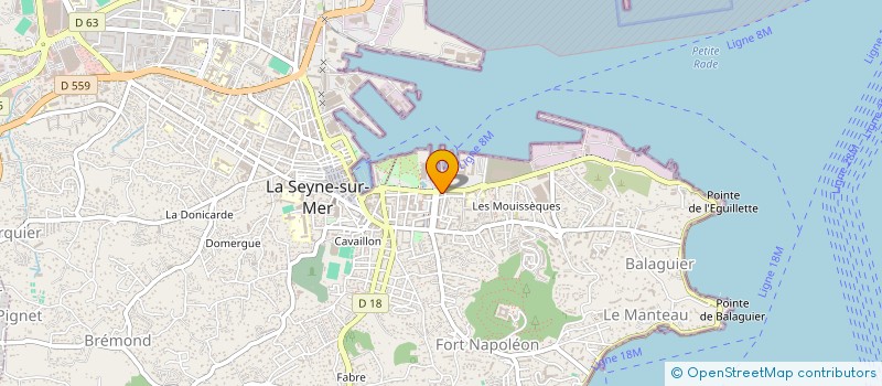 localisation de l'entreprise MADAME DOMINIQUE EFFLER à LA SEYNE-SUR-MER