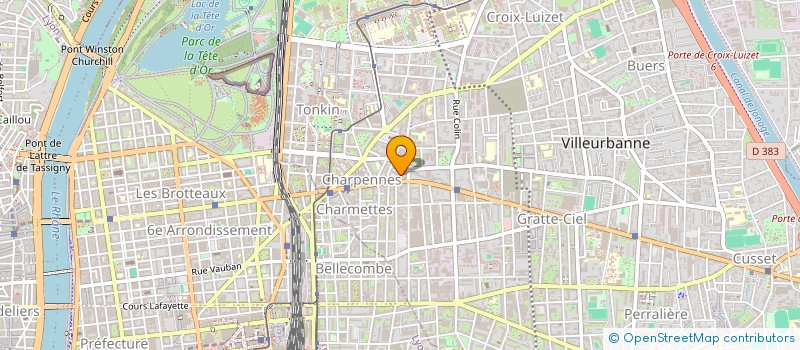 localisation de l'entreprise MADAME DOMINIQUE FILLIOL  VILLEURBANNE