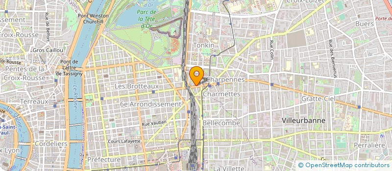 localisation de l'entreprise MADAME DOMINIQUE FLOUR  LYON