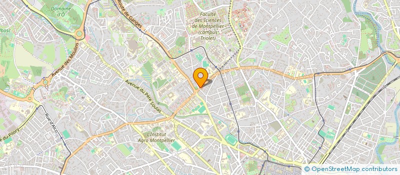 localisation de l'entreprise MADAME DOMINIQUE GOSSELLIN à MONTPELLIER