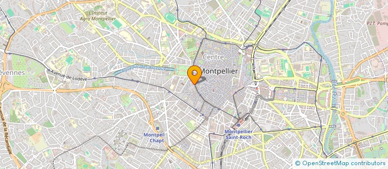 localisation de l'entreprise MADAME DOMINIQUE GOURGAS à MONTPELLIER