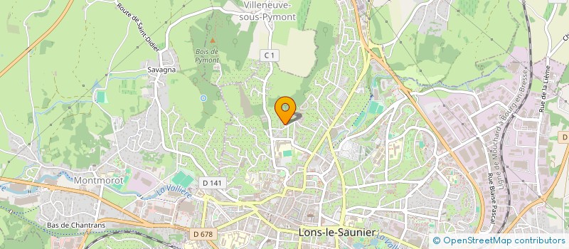localisation de l'entreprise MADAME DOMINIQUE GUITON à LONS-LE-SAUNIER