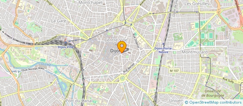 localisation de l'entreprise MADAME DOMINIQUE HAMANN  DIJON