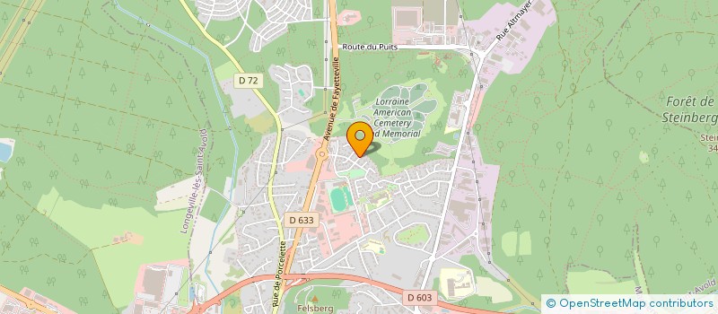 localisation de l'entreprise MADAME DOMINIQUE HAUS  SAINT-AVOLD