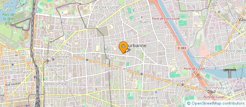 localisation de l'entreprise MADAME DOMINIQUE HERZOG  VILLEURBANNE