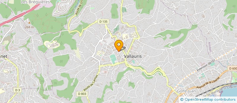 localisation de l'entreprise MADAME DOMINIQUE HUET à VALLAURIS