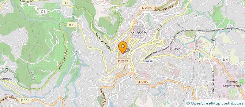 localisation de l'entreprise MADAME DOMINIQUE ITALIANO  GRASSE