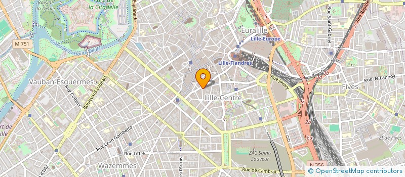 localisation de l'entreprise MADAME DOMINIQUE JEANNE YVE LOIRE à LILLE