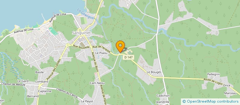 localisation de l'entreprise MADAME DOMINIQUE LANUSSE  SANGUINET