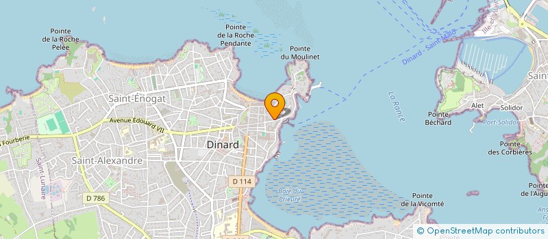 localisation de l'entreprise MADAME DOMINIQUE LAPLAICHE  DINARD