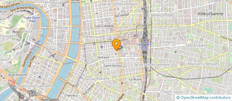 localisation de l'entreprise MADAME DOMINIQUE LAUPIN  LYON