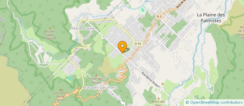 localisation de l'entreprise MADAME DOMINIQUE LECLERE  LA PLAINE-DES-PALMISTES