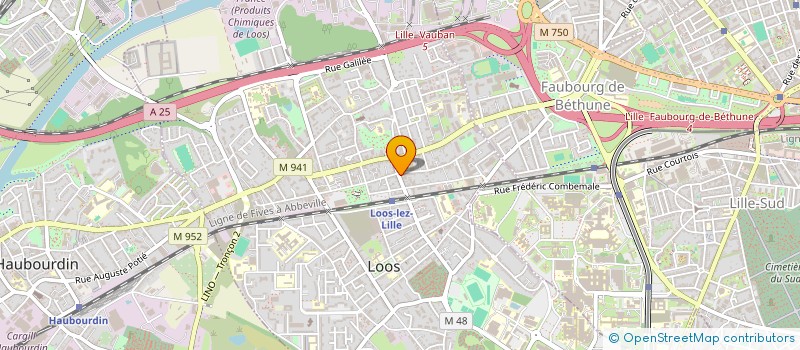 localisation de l'entreprise MADAME DOMINIQUE LEMAIRE  LOOS