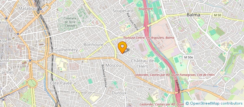 localisation de l'entreprise MADAME DOMINIQUE LENAIN à TOULOUSE