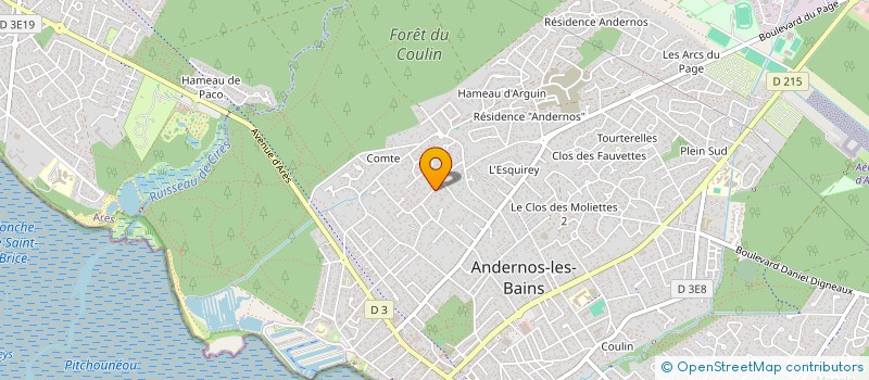 localisation de l'entreprise MADAME DOMINIQUE LONGHAIS  ANDERNOS-LES-BAINS