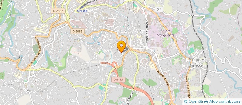 localisation de l'entreprise MADAME DOMINIQUE MADELEINE THIEBAULT  GRASSE