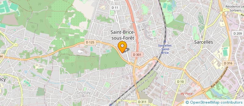 localisation de l'entreprise MADAME DOMINIQUE PEINS  SAINT-BRICE-SOUS-FORET