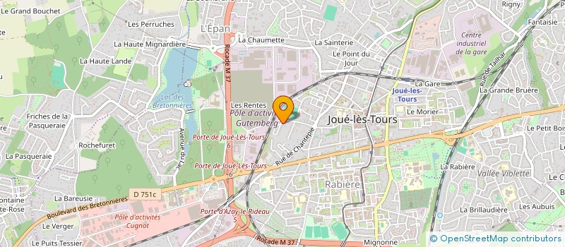 localisation de l'entreprise MADAME DOMINIQUE PERDRIEAU  JOUE-LES-TOURS