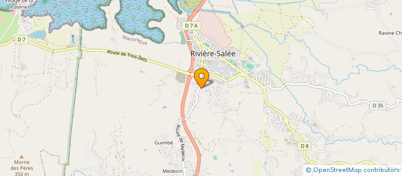 localisation de l'entreprise MADAME DOMINIQUE PIQUIONNE  RIVIERE-SALEE