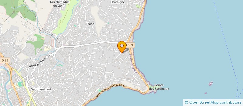 localisation de l'entreprise MADAME DOMINIQUE REYMONDIER à SAINTE-MAXIME