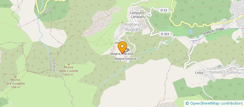 localisation de l'entreprise MADAME DOMINIQUE ROMAN  ROGLIANO