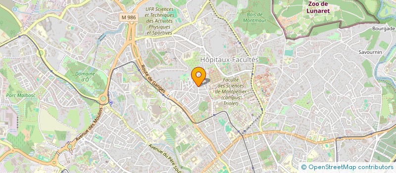 localisation de l'entreprise MADAME DOMINIQUE ROSSI à MONTPELLIER