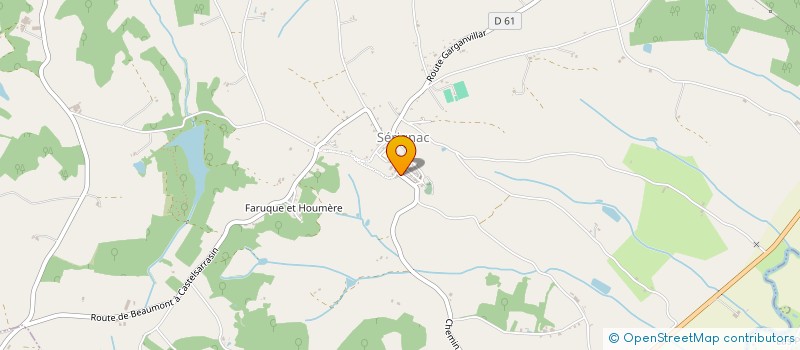 localisation de l'entreprise MADAME DOMINIQUE ROUCOLLE  BEAUMONT-DE-LOMAGNE